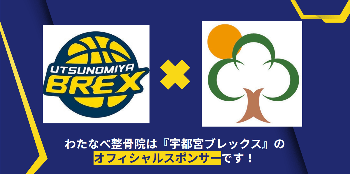 わたなべ整骨院は宇都宮ブレックスのサポーターです